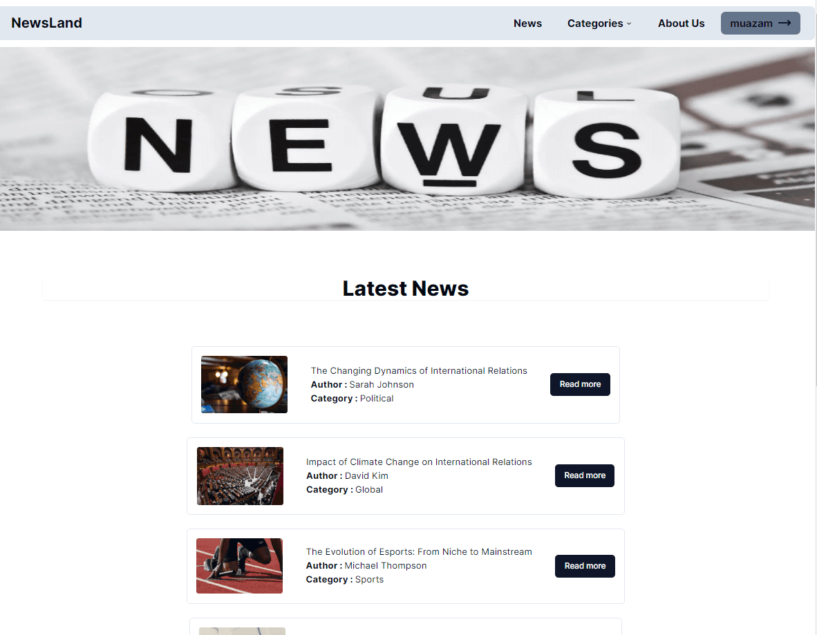 NewsLand — screenshot of the full-stack development project